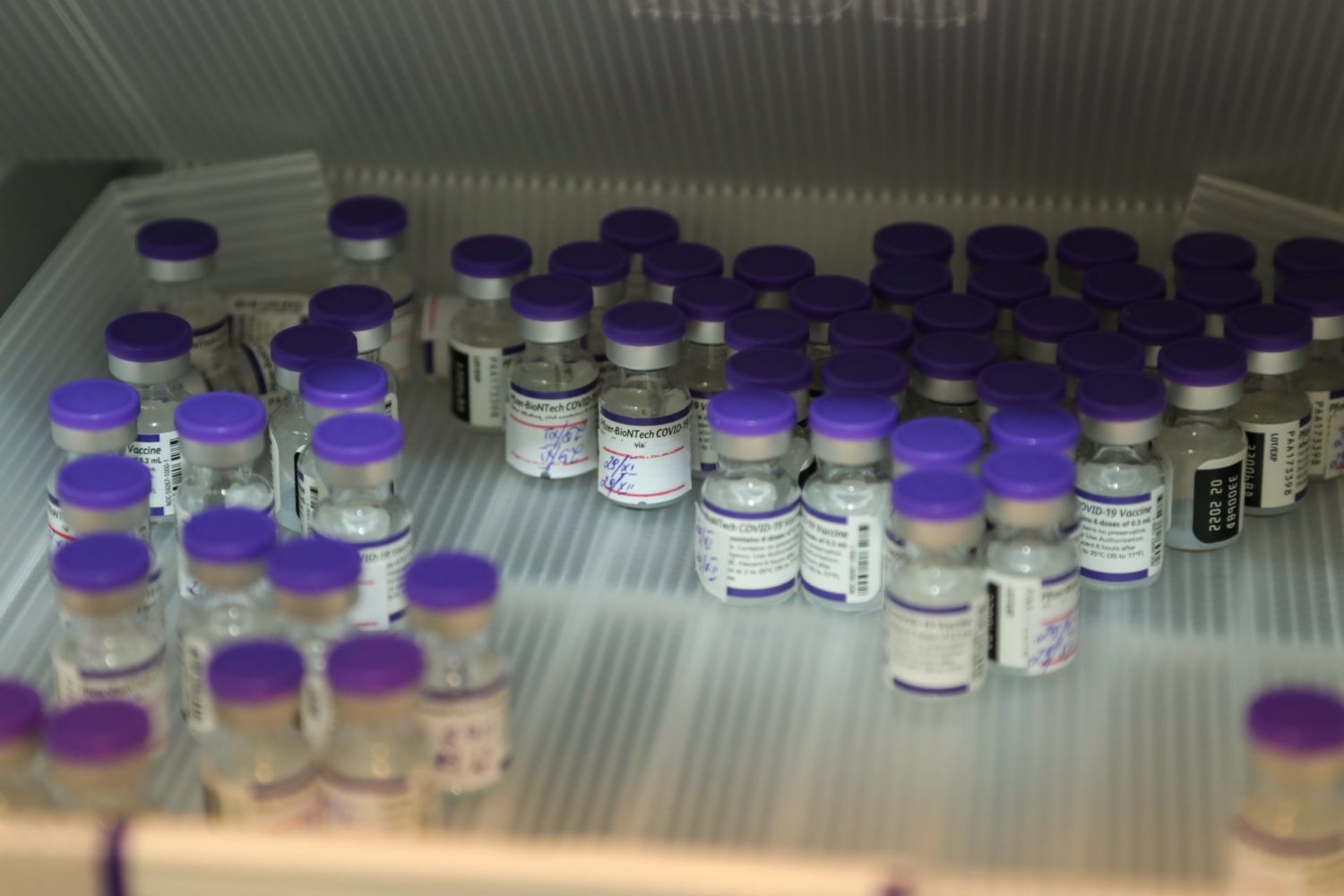 АКШ Кыргызстанга Pfizer вакцинасынын кошумча 49 миң дозасын тапшырды