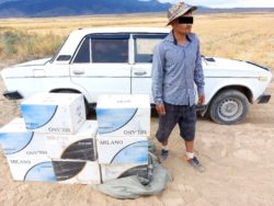 Тамекини контрабандалык жол менен Өзбекстанга алып өтүүгө аракет кылган жарандар кармалды #89390 (preview)