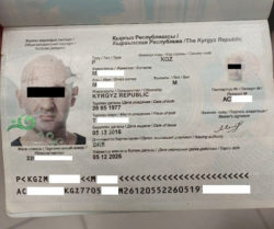 Жасалма паспорт колдонуп жүргөн чет элдик жаран кармалды #90271 (preview)