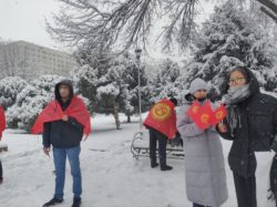 Бишкекте мамлекеттик тууну өзгөртүүгө каршы митинг өтүүдө #98729 (preview)